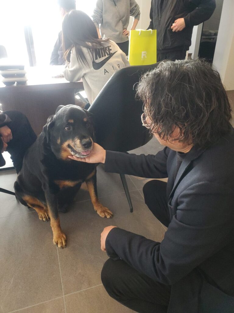 愛犬どんちゃん